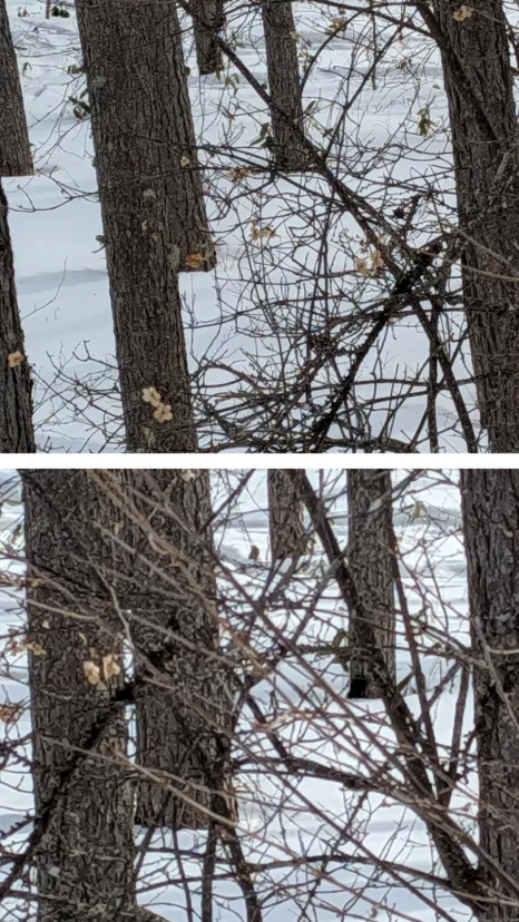 🌸ドライフラワー