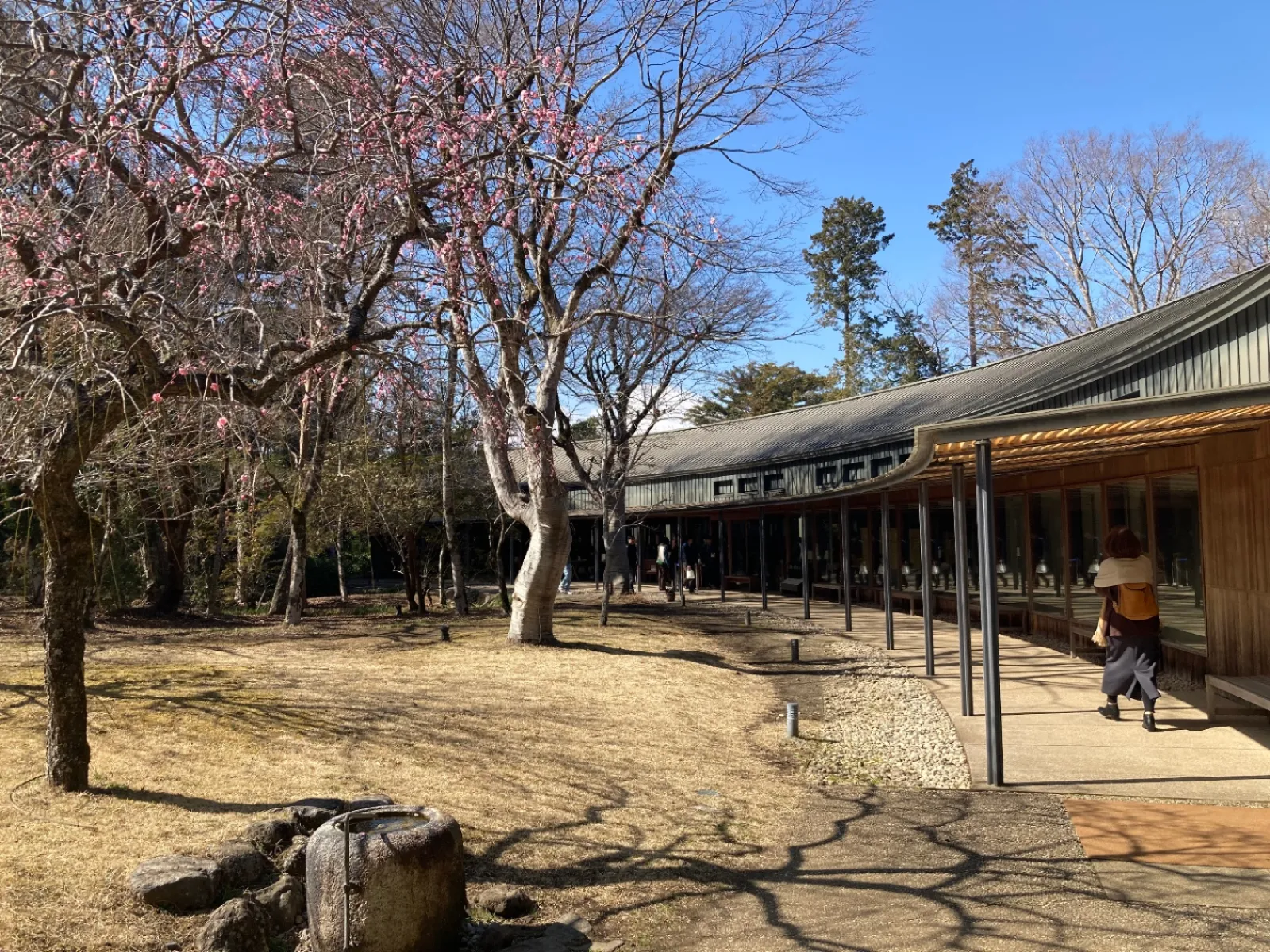 次はとらやの和菓子工房。軽食と和菓子をいただきます。梅の花が咲き始めています。
後ろには富士山が見えました。