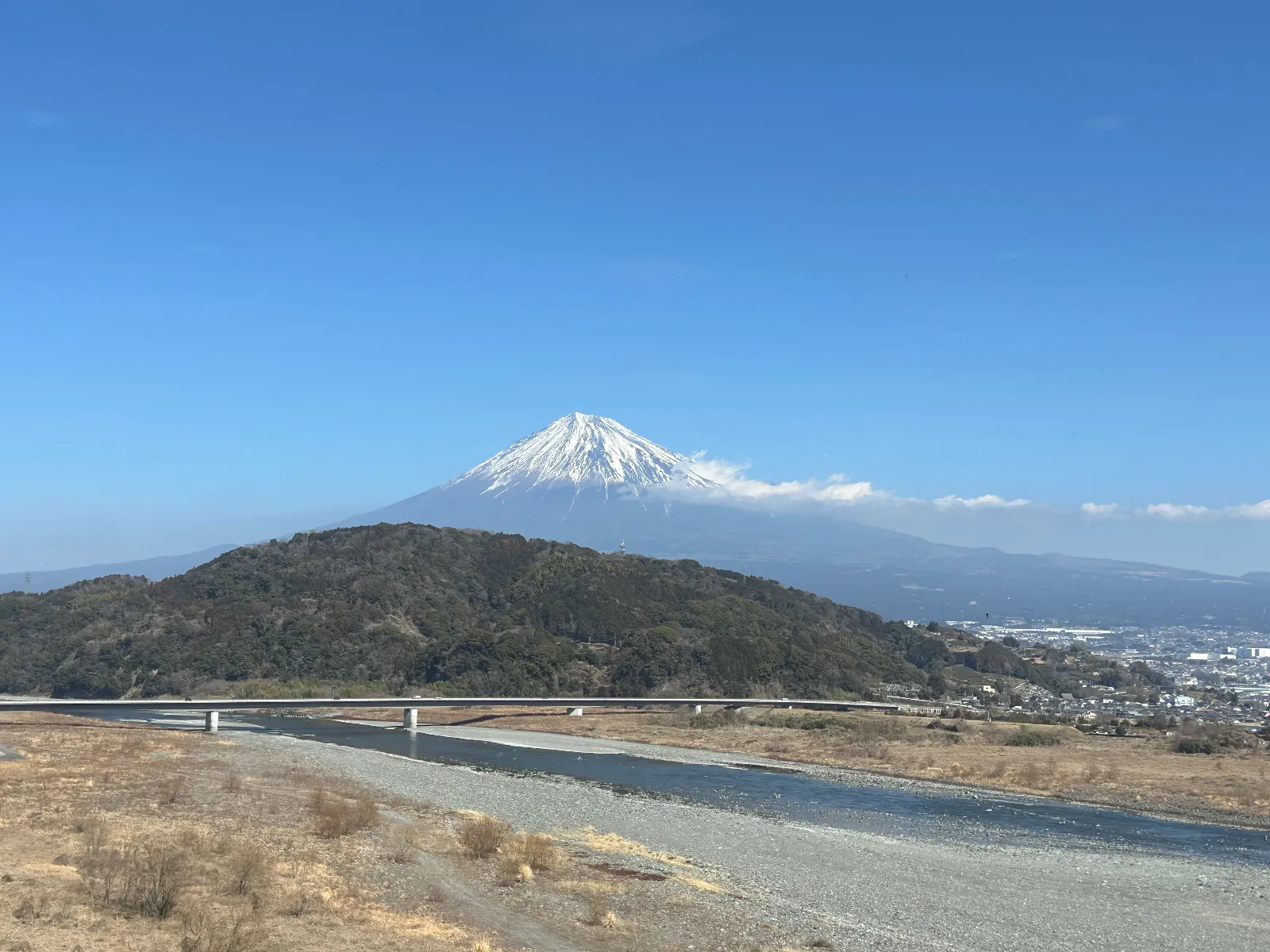 レストランからの眺め