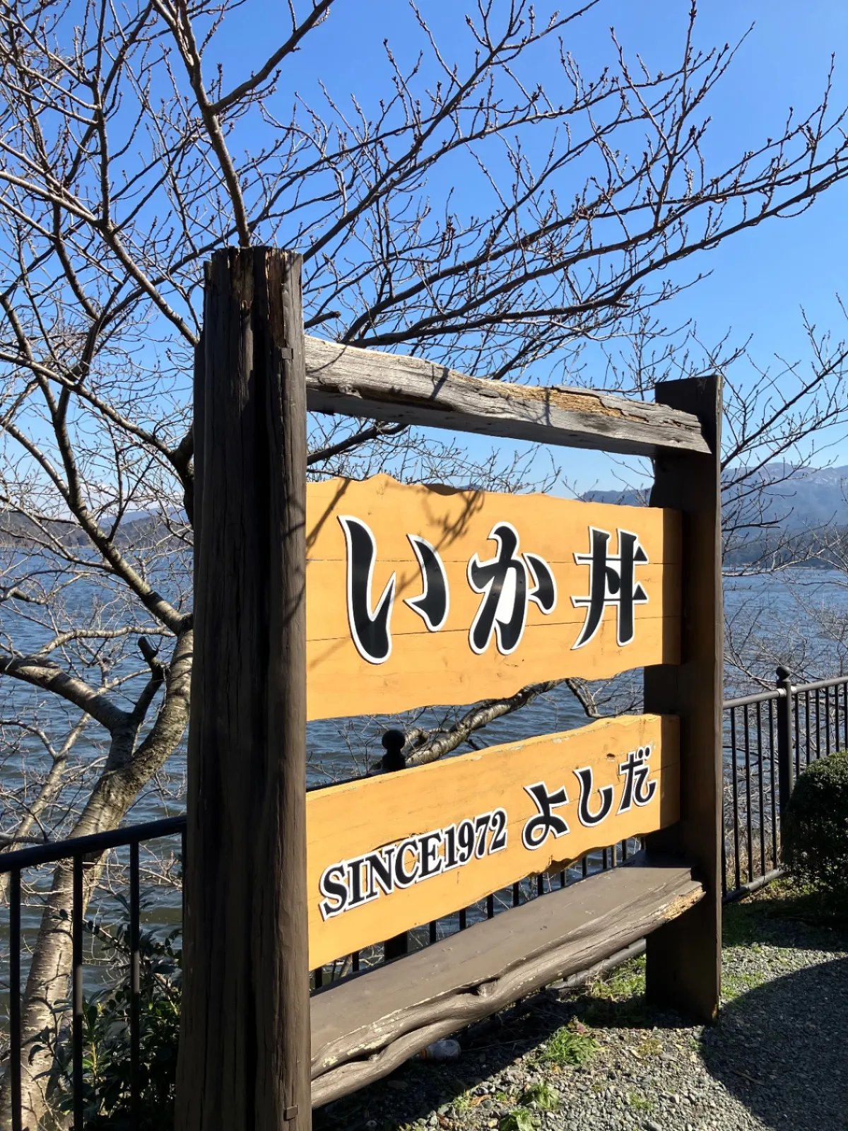 福井県、三方五湖にあるドライブインよしだ
の、イカ丼