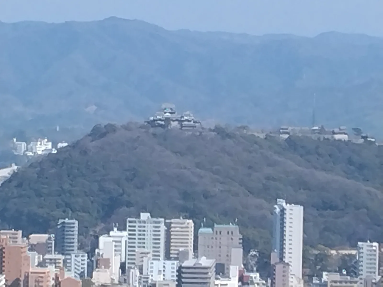 向かい側の山に建つ松山城も見えました。