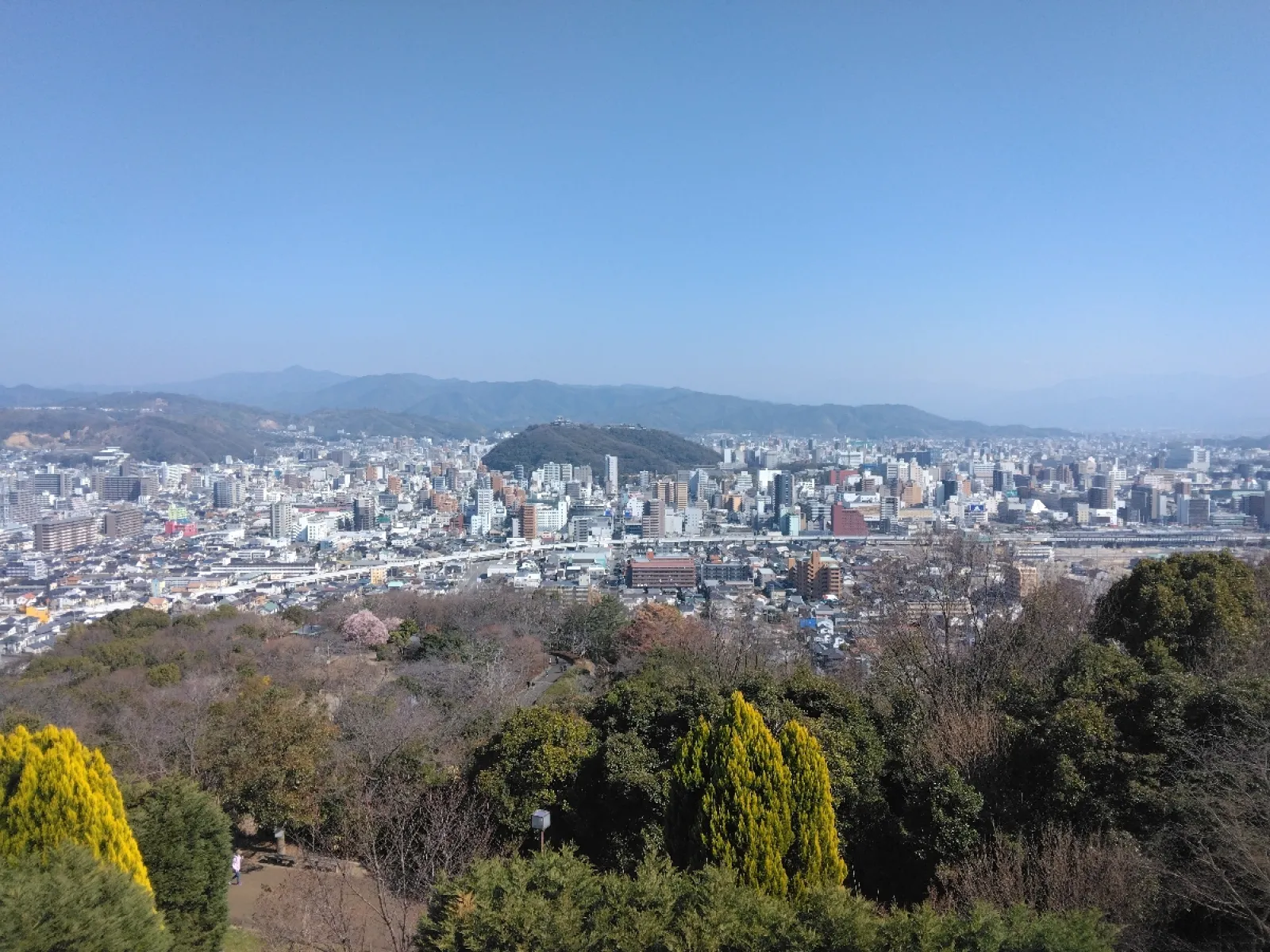 松山市内が一望できます。