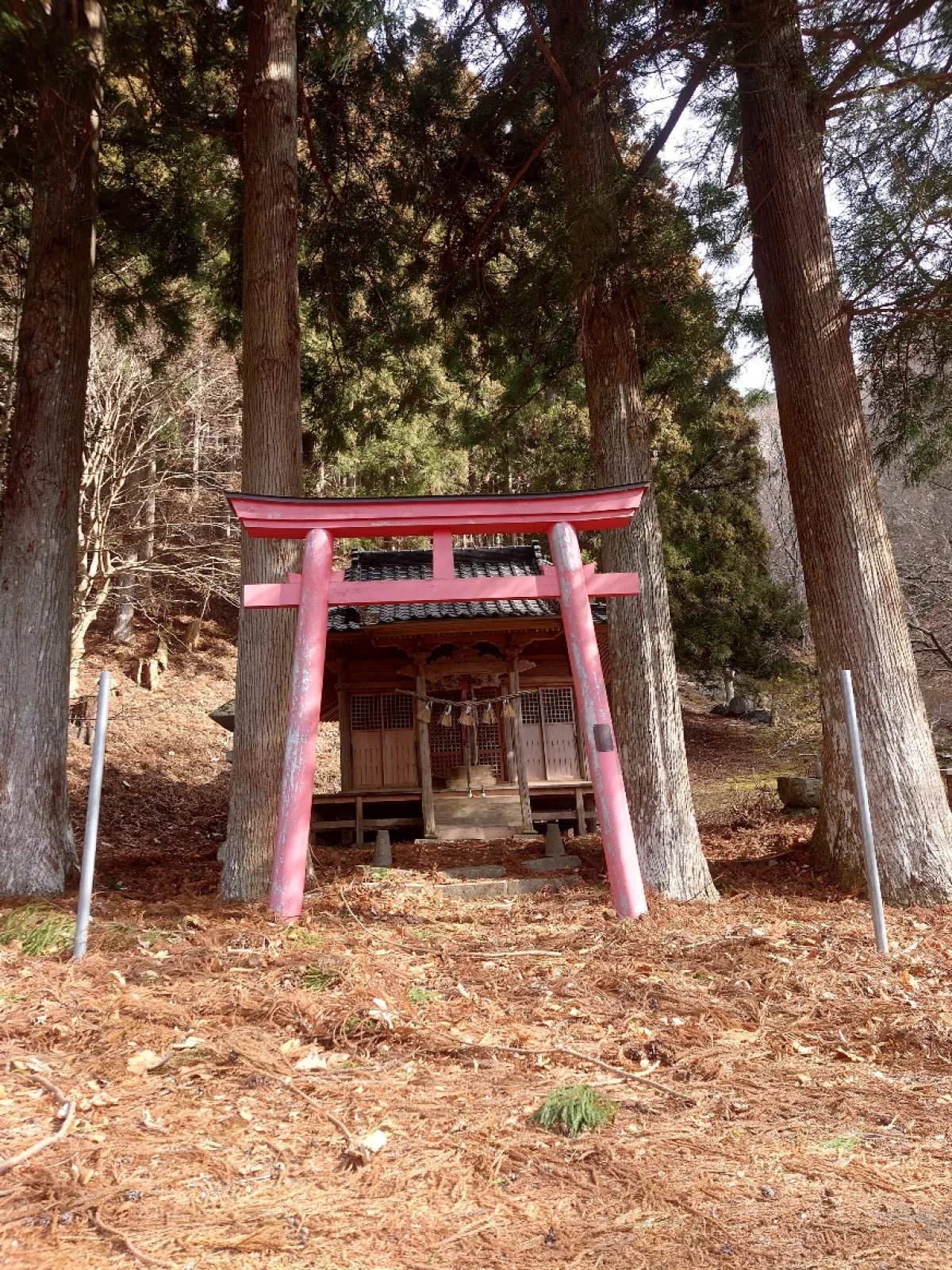 玉山高原にある不動尊
不動尊脇の小川を遡ると滝があると地図にはある。