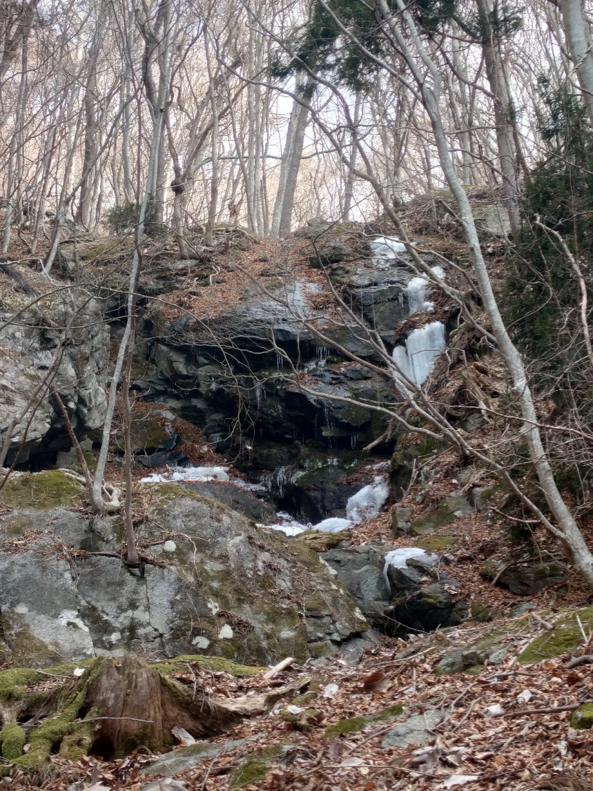 滝山不動尊の脇の小川を上流に遡った先にある滝。
渇水期だったからか落ち葉がいっぱいで滝がわからなかった。