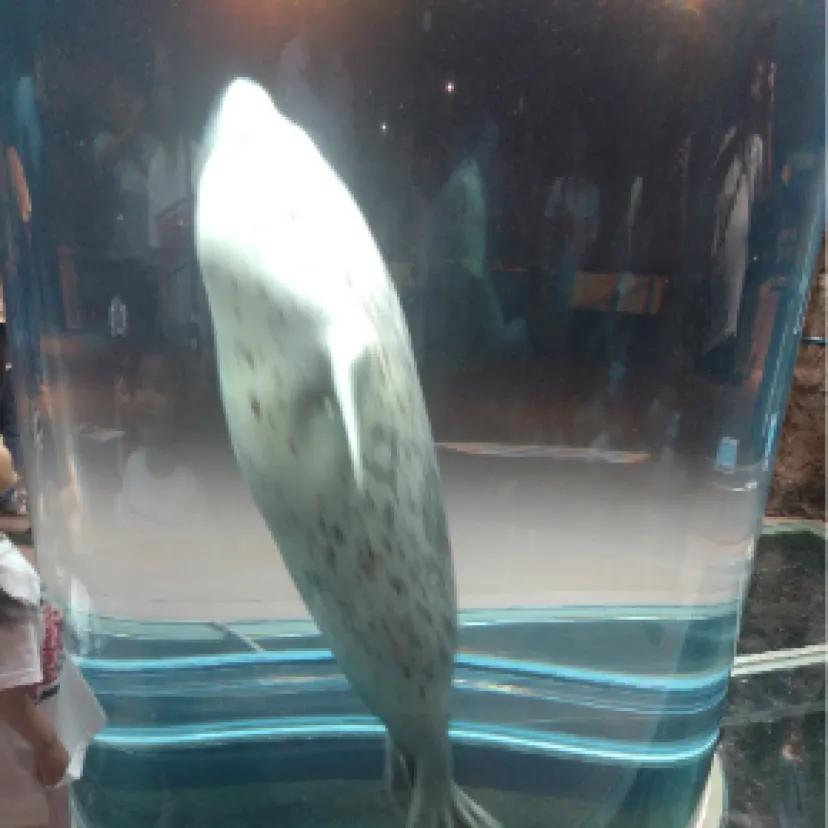ふごっ
