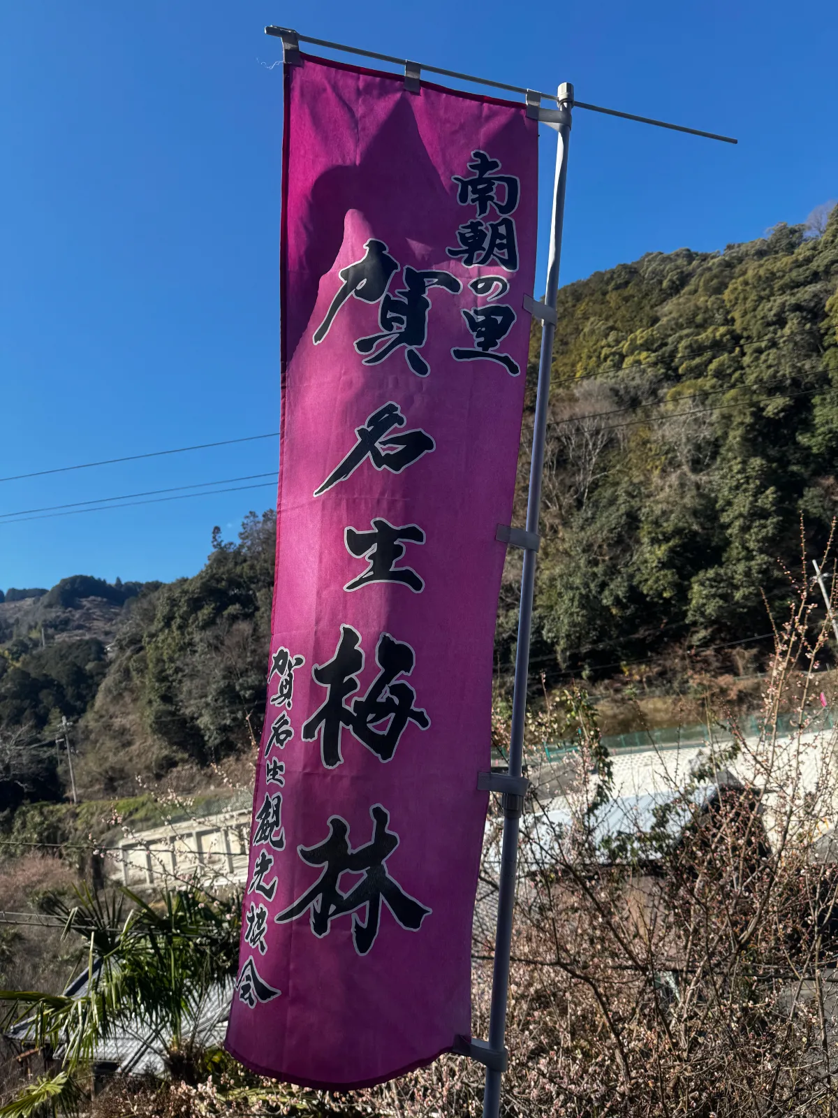漢字読めなくないですか？