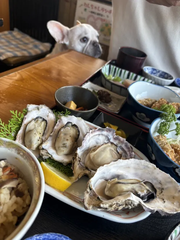 海の食堂はっかいさん