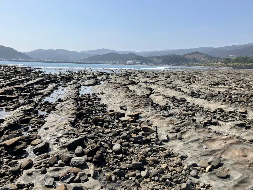 宮崎県青島🏝️