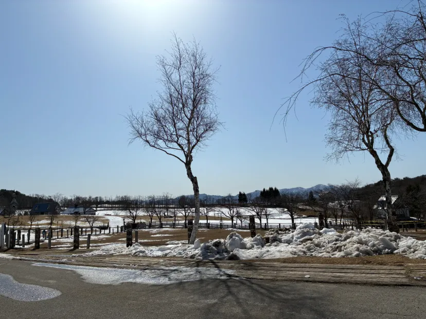 日曜日に牧歌の里へ。