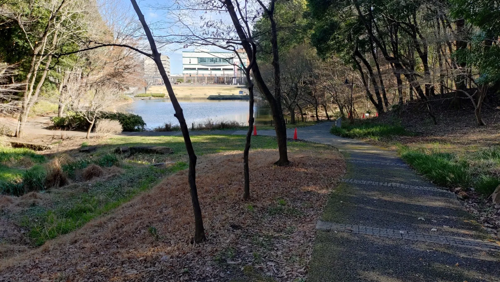 駐車場上の広場から池を越えて登る道。
駐車場30分100円の料金表でしたが、20分くらいで出庫したら0円でした。保証はしません。
広場のトイレは工事中でした。