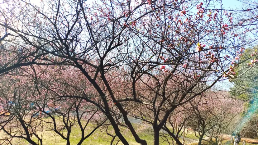 四季の森公園ポイント取得位置