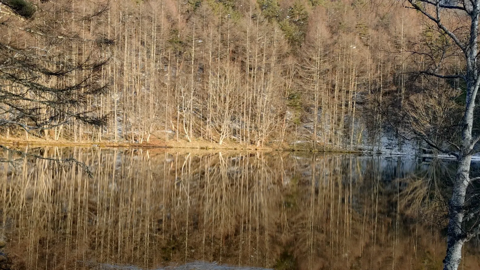 御射鹿池の駐車場から徒歩3分ぐらいにポイント。