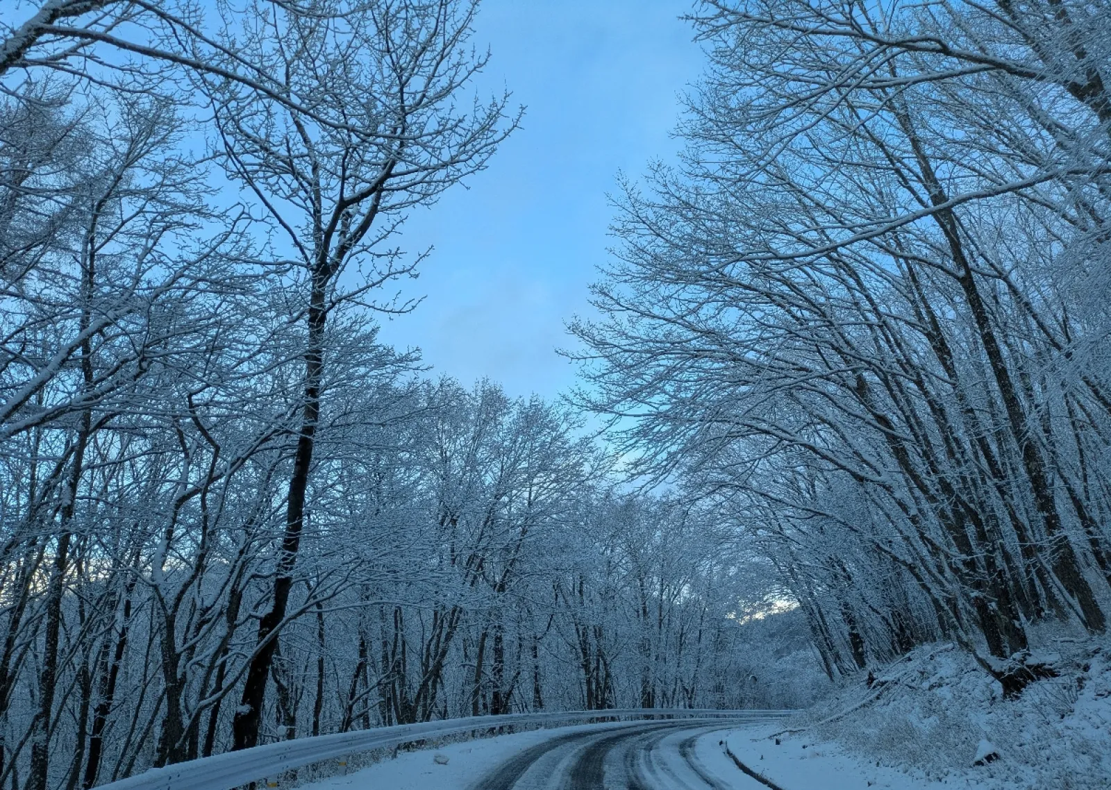 まだ雪景色のビーナスライン 蓼科高原
標高1700メートル
気温マイナス２度
3月でも寒いね