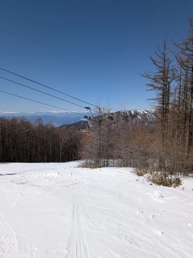 まだまだ⛷️スキーシーズン