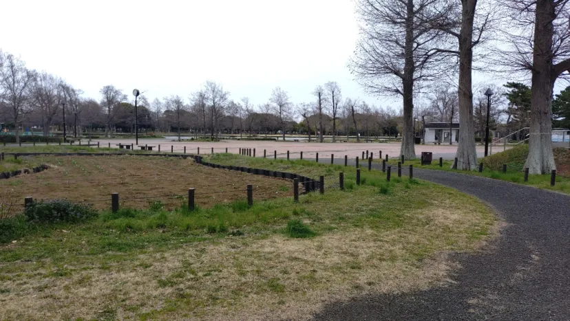 水元公園ポイント取得位置