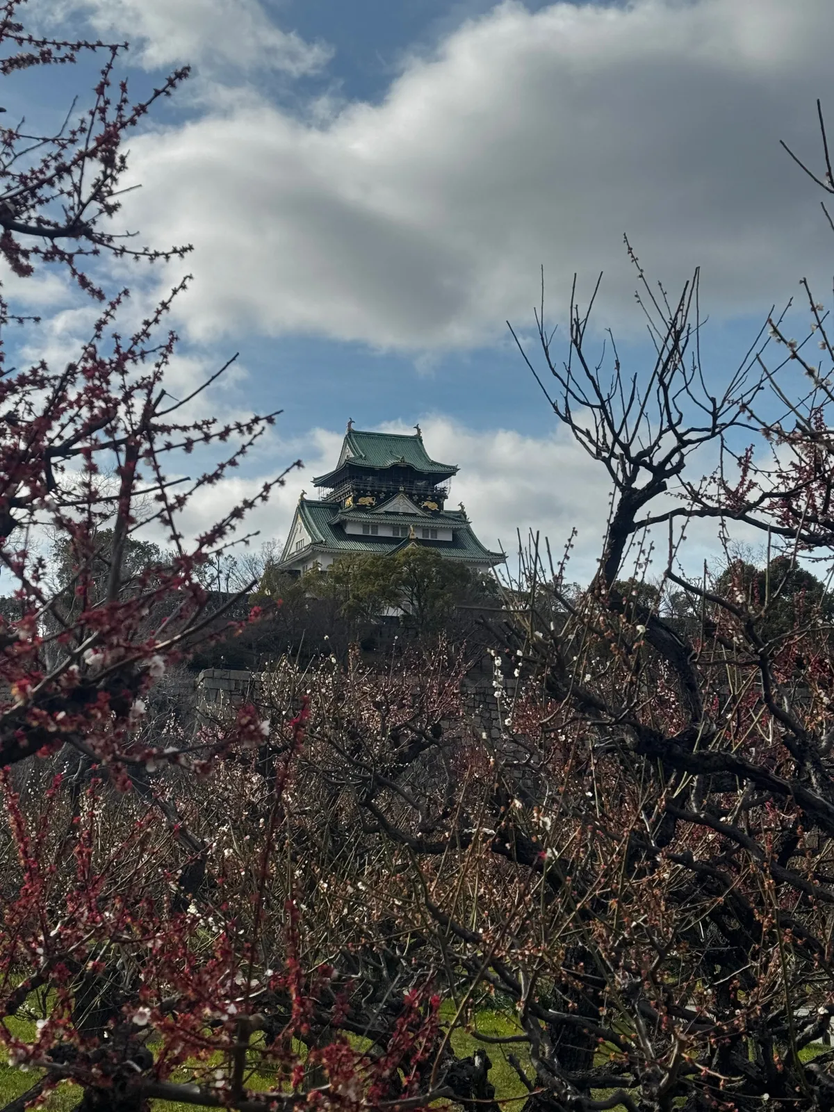 大阪城をバックに📸