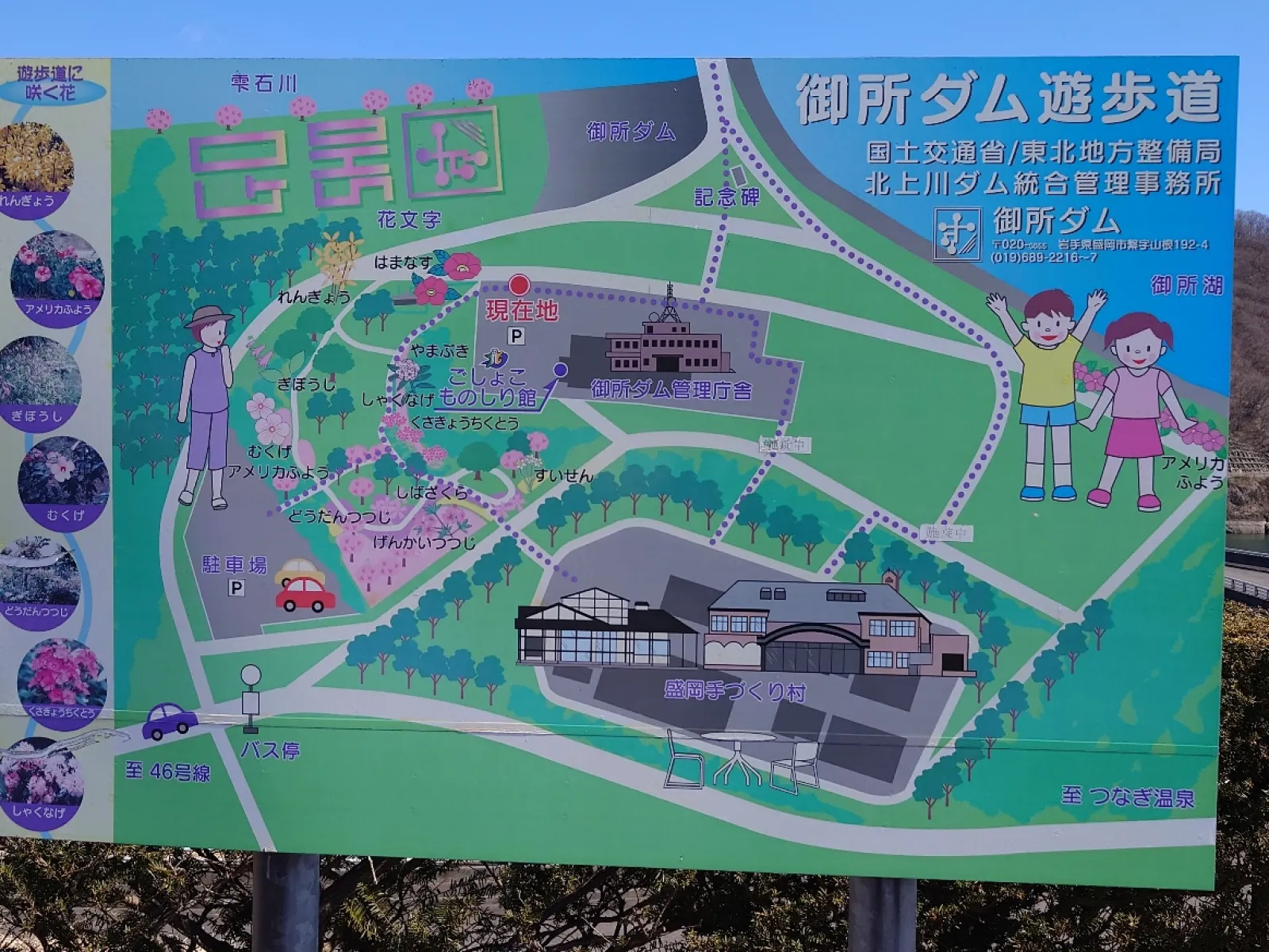 ダムの管理事務所の付近施設図
岩手手造り村が有ります。