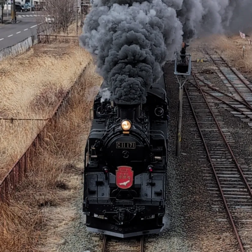 SL冬の釧路湿原号