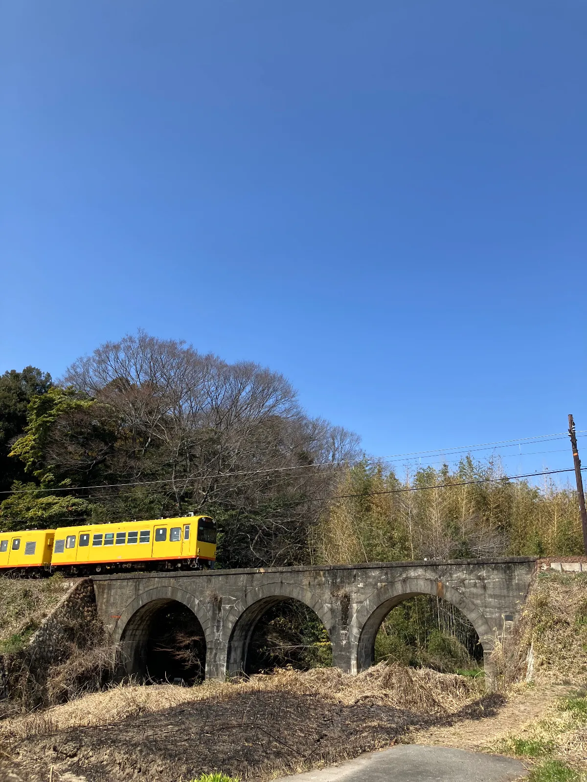 三岐鉄道北勢線とめがね橋
コンクリート製のめがねの橋は珍しいみたいです