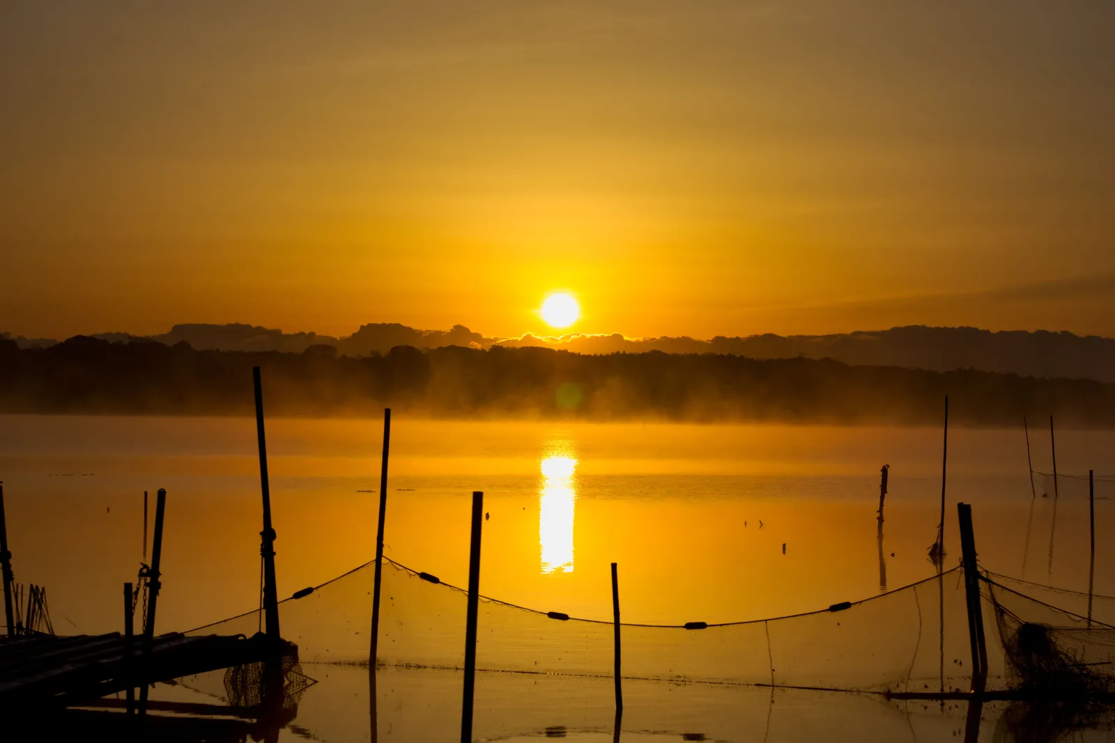 朝靄が少し出てましたが印旛沼に反射した日の出の光がいい感じです