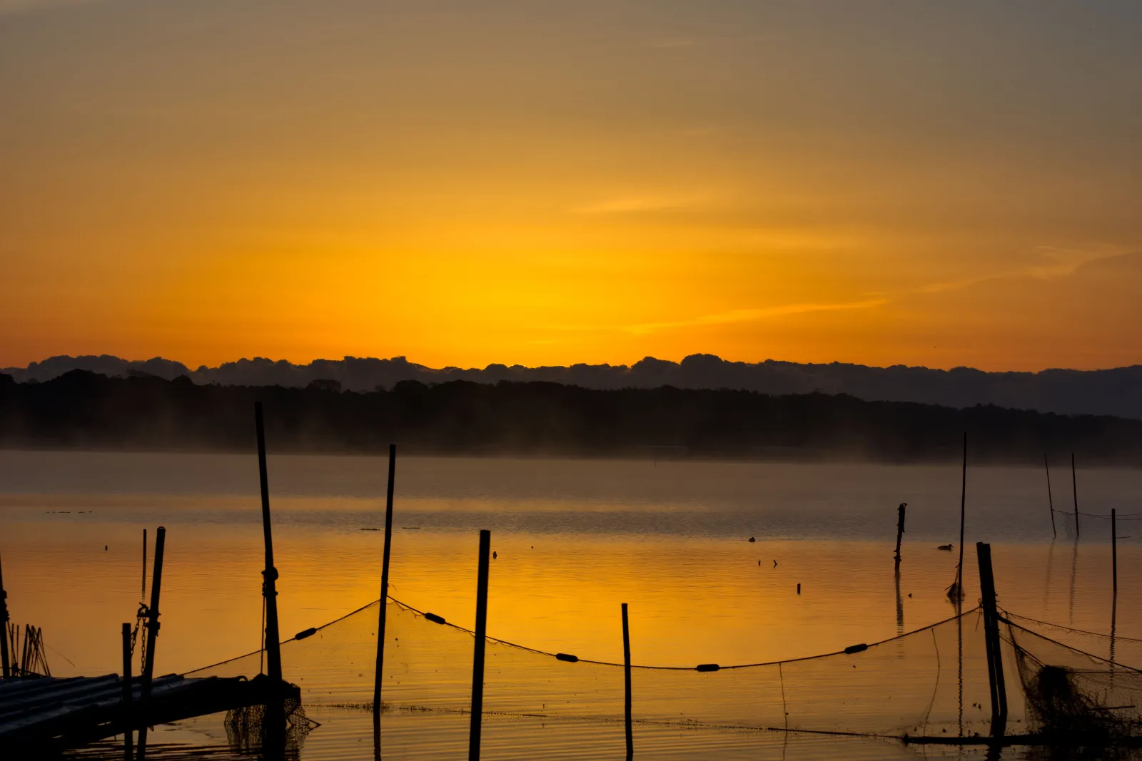 毎年恒例にしている印旛沼からの日の出です