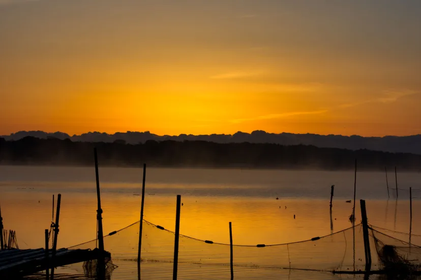 印旛沼からの日の出