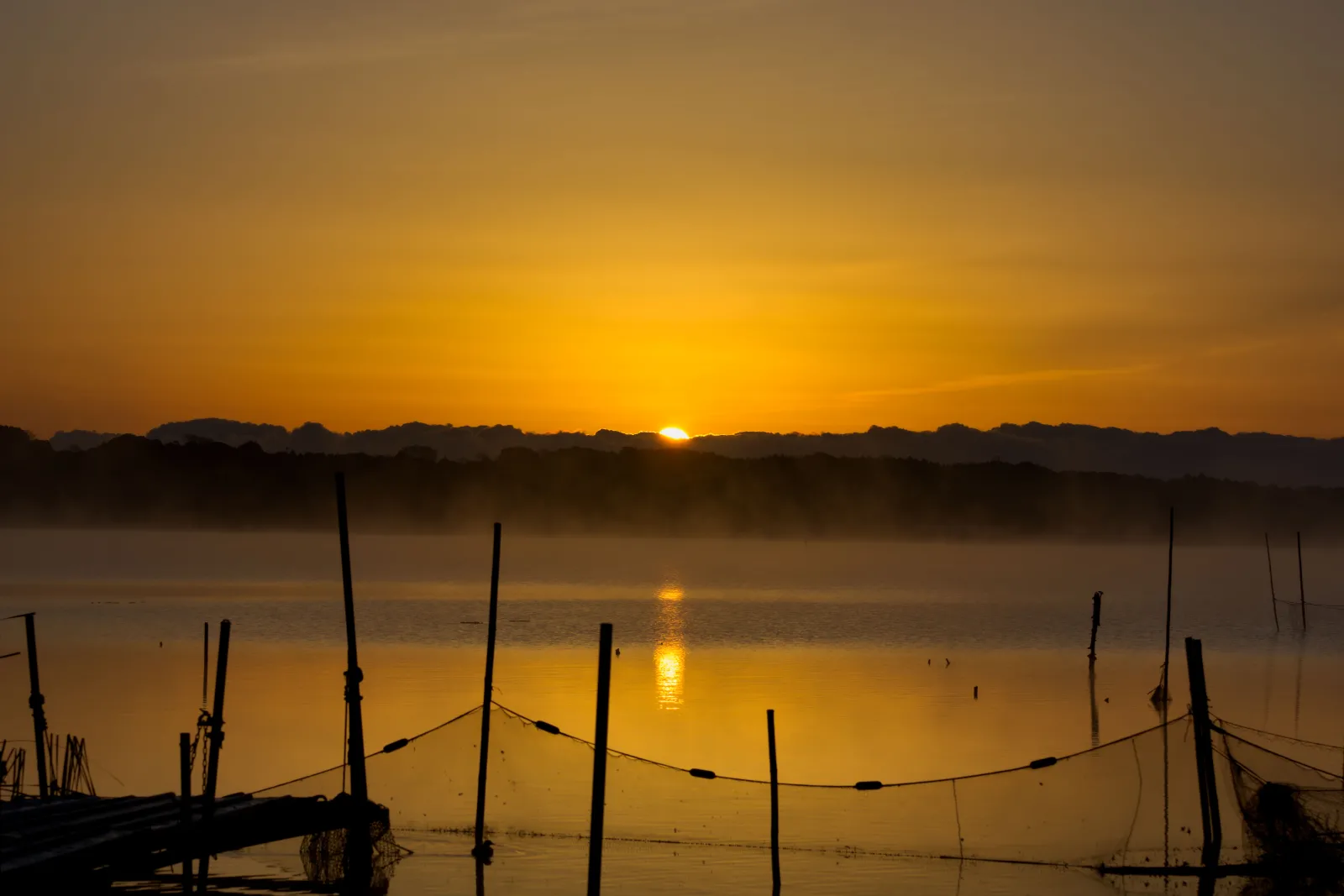 今年は元旦に初日の出を見に行かなかったので自分の初日の出です