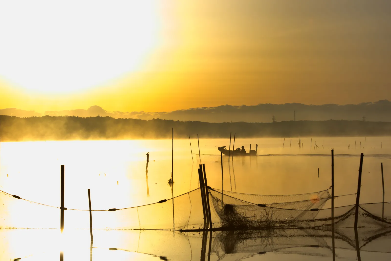 6時を過ぎると釣りのボートがどんどん出ていきます