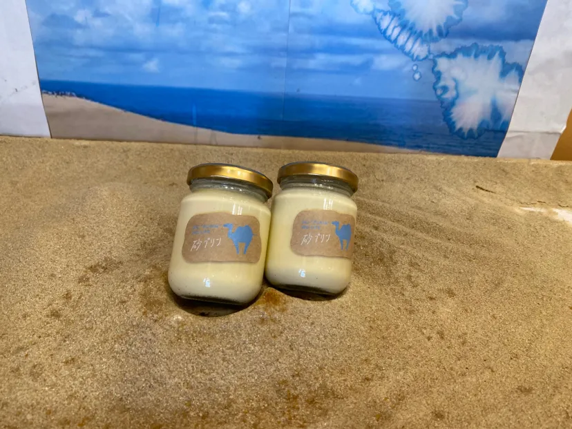 🐪砂プリン@鳥取砂丘🐪