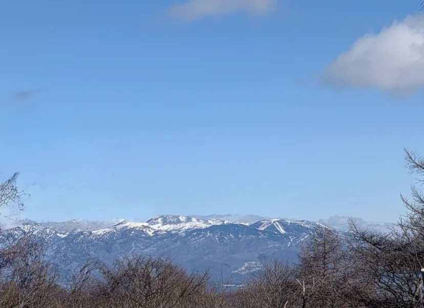 今日は快晴☀️午後は小春日和