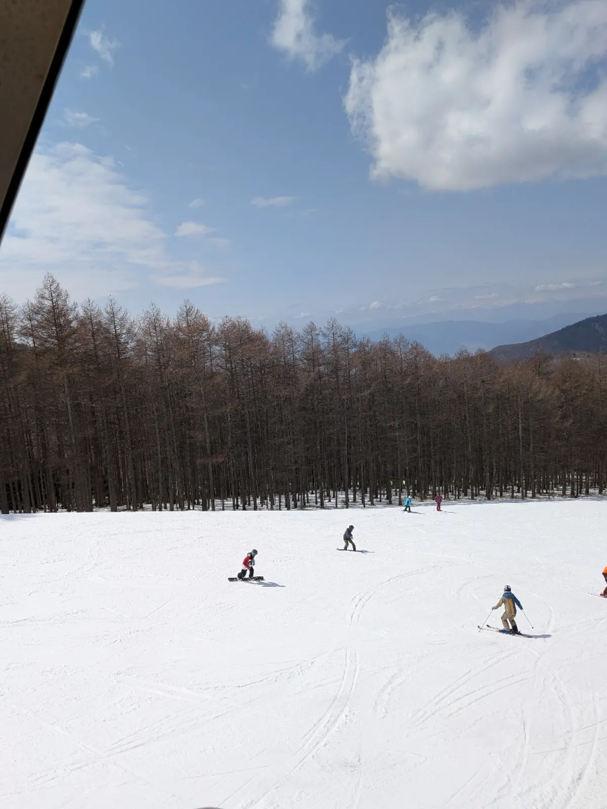 ザラメ雪かと思っていましたが少し柔らかいけど👌
