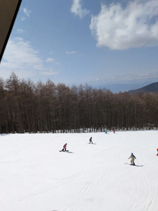 シーズン終わり4月6日☃️まで持ちそうです。