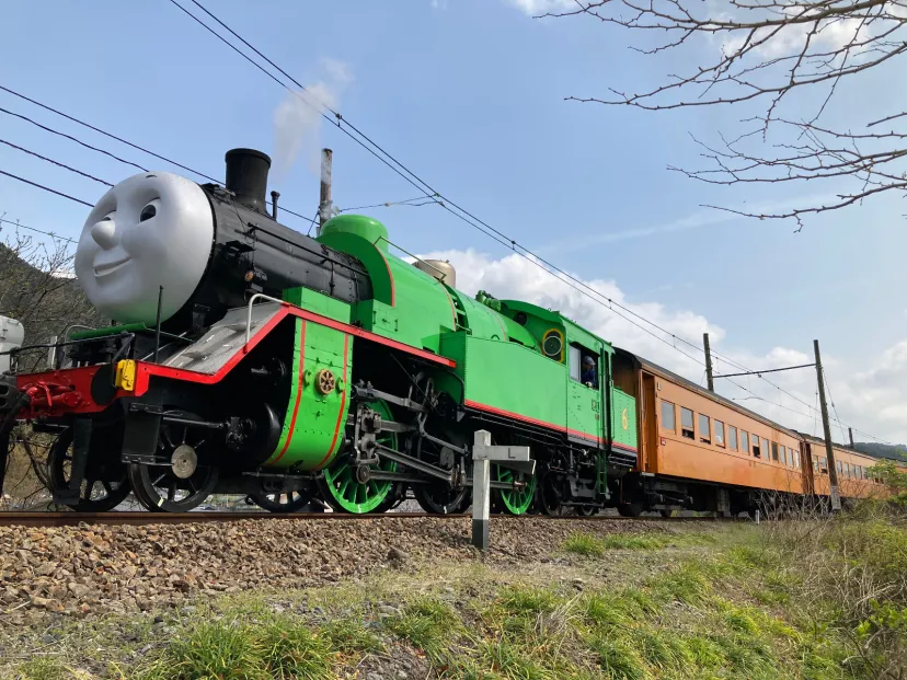 ND 本日のパーシー