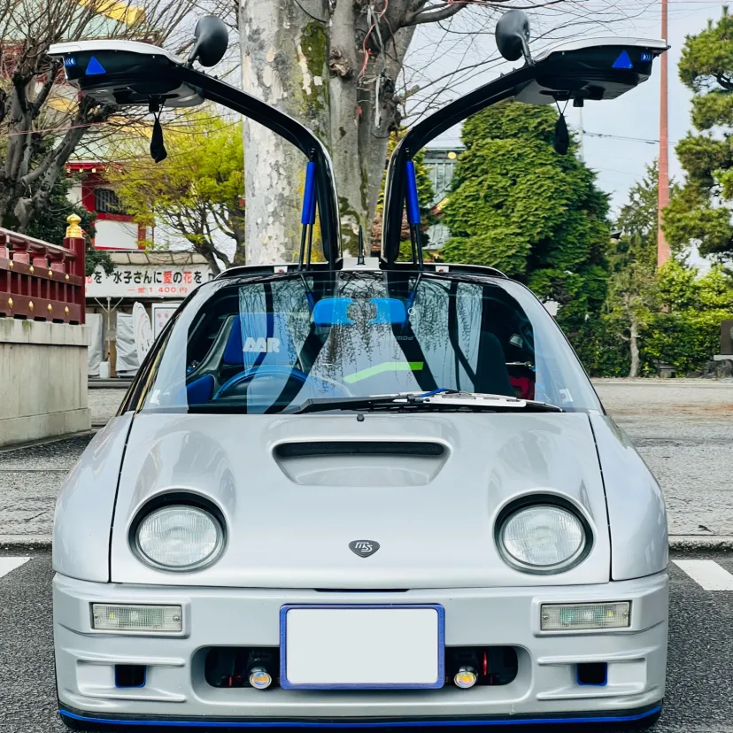 佐野厄よけ大師