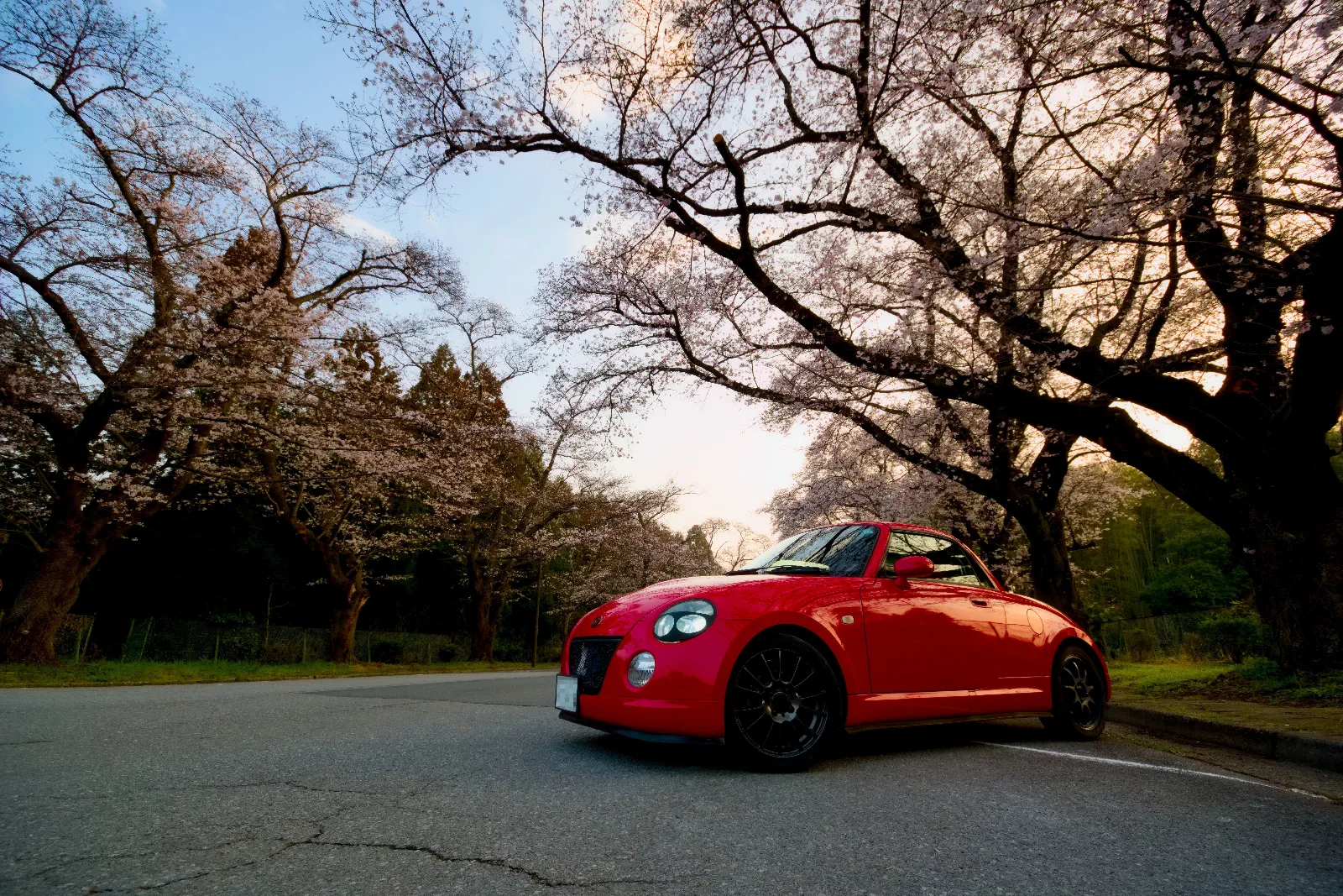 早朝なので場所を選べば1台だけで撮れました