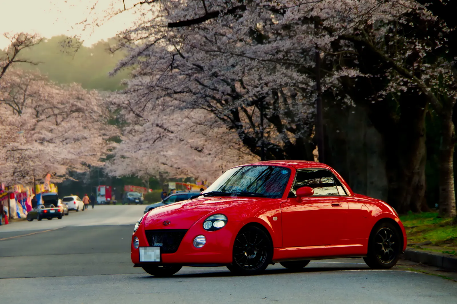 混む前にゆっくり見たいので早朝に行きます