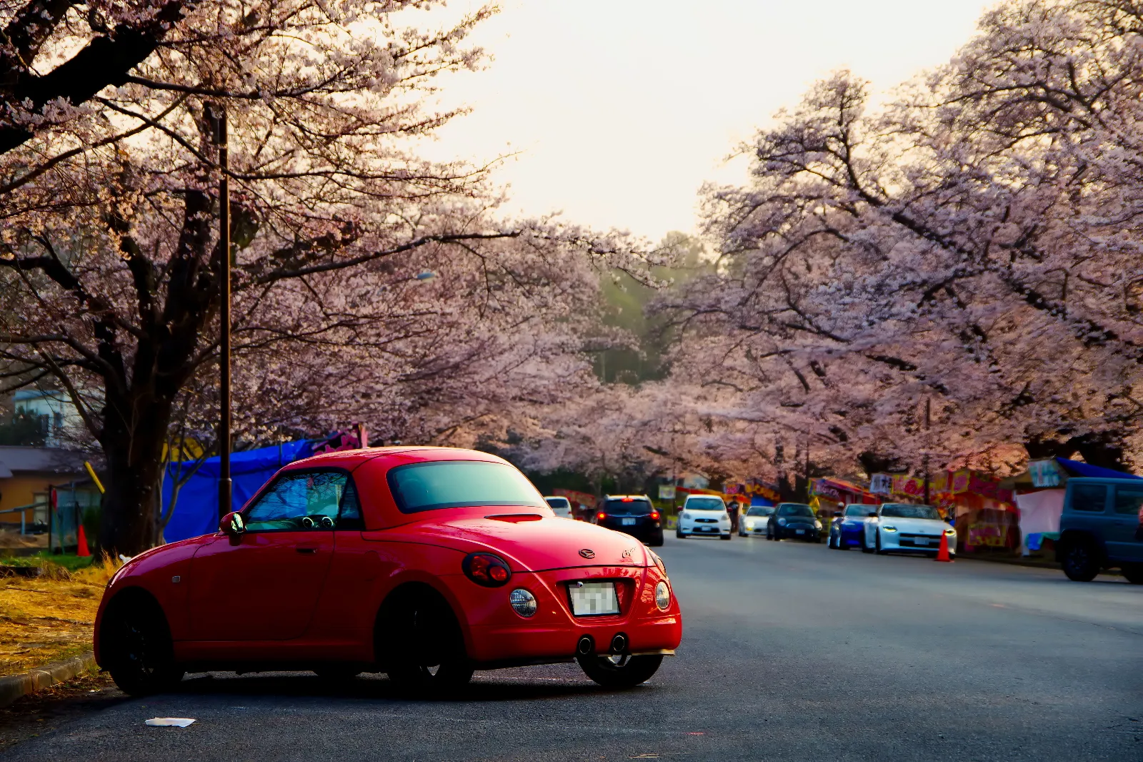 同じように写真を撮っている人が多かったです
