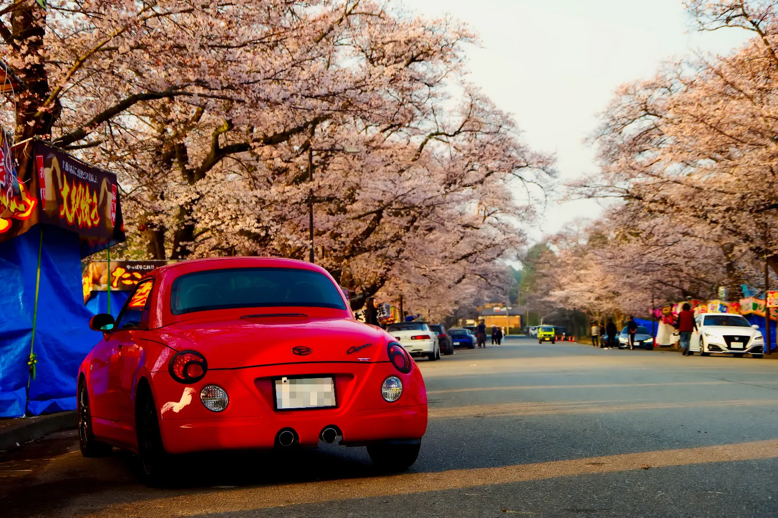 来年もまた来れるといいな～