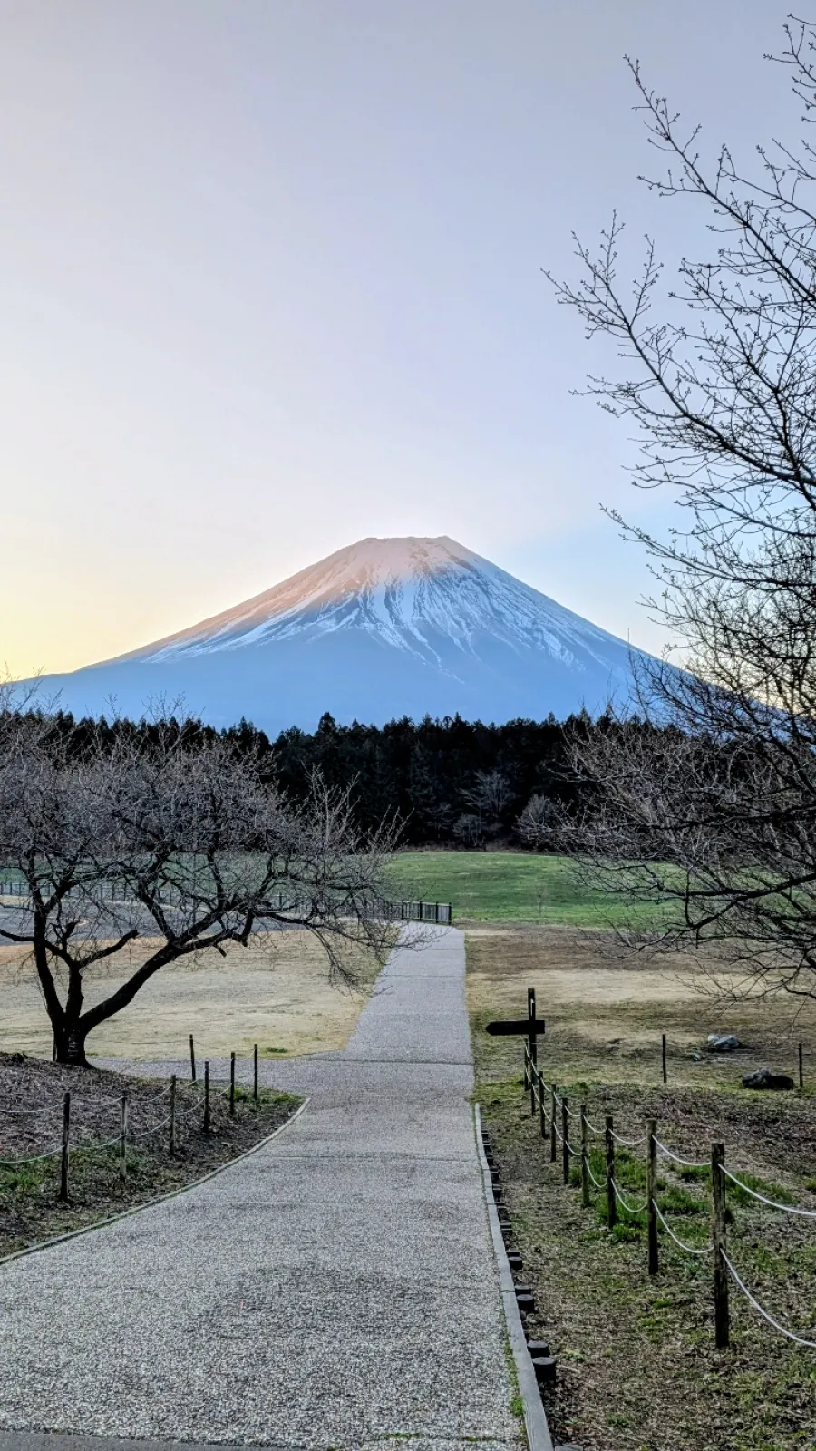 朝の富士山
やっと雲１つないキレイなのが見れました