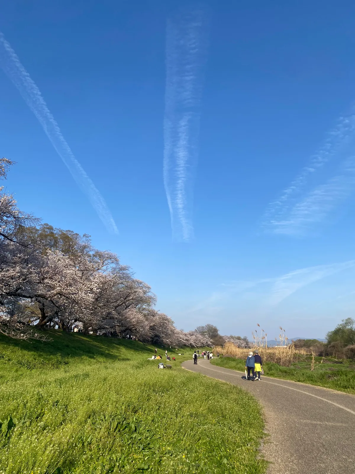 家族でおさんぽ✨
めちゃくちゃきれいでした〜🌸
桜を見ながら三色団子食べましたよ🍡

暖かくて、半袖でも良かったかなと思いました😳