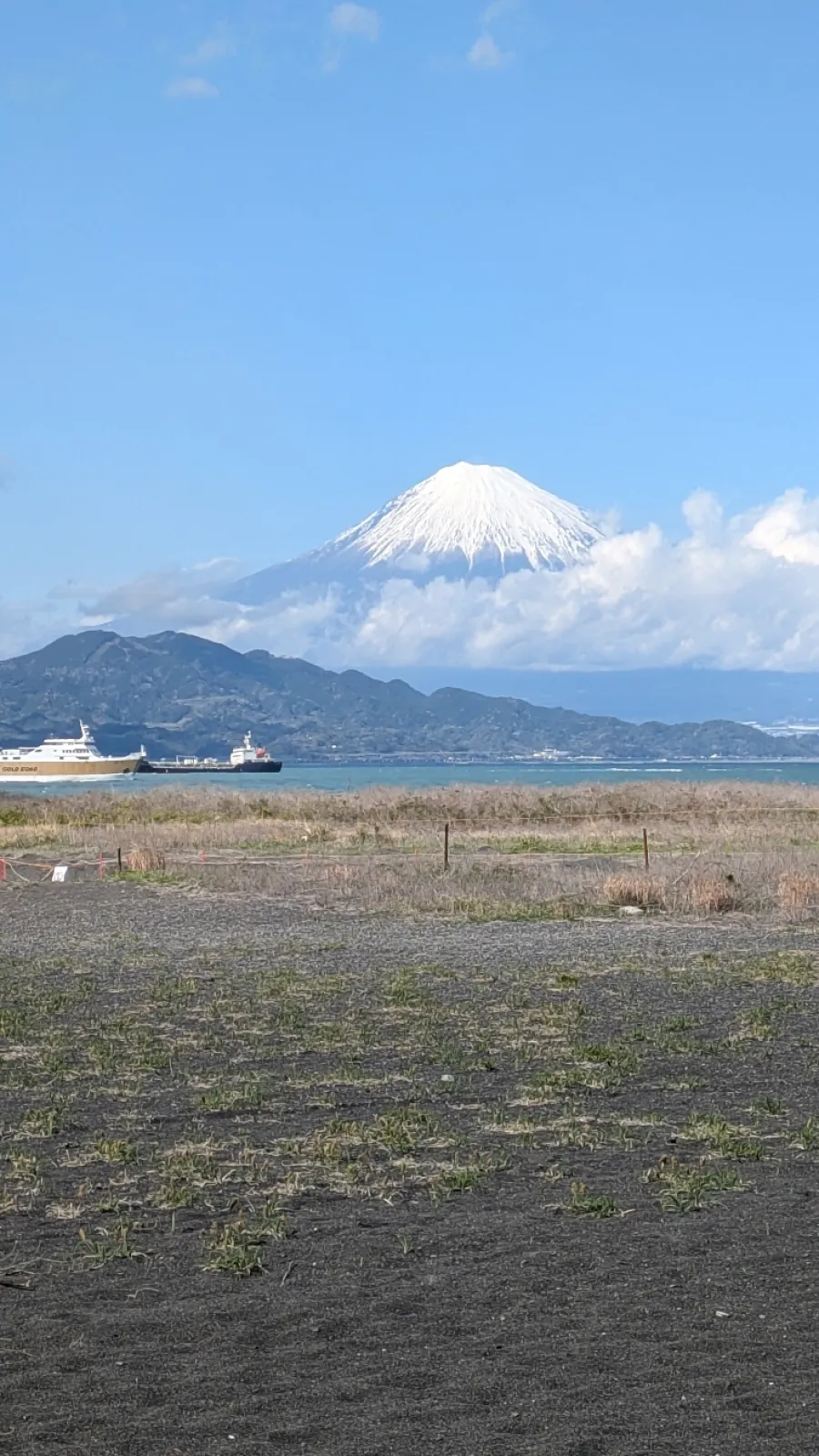 三保の松原から