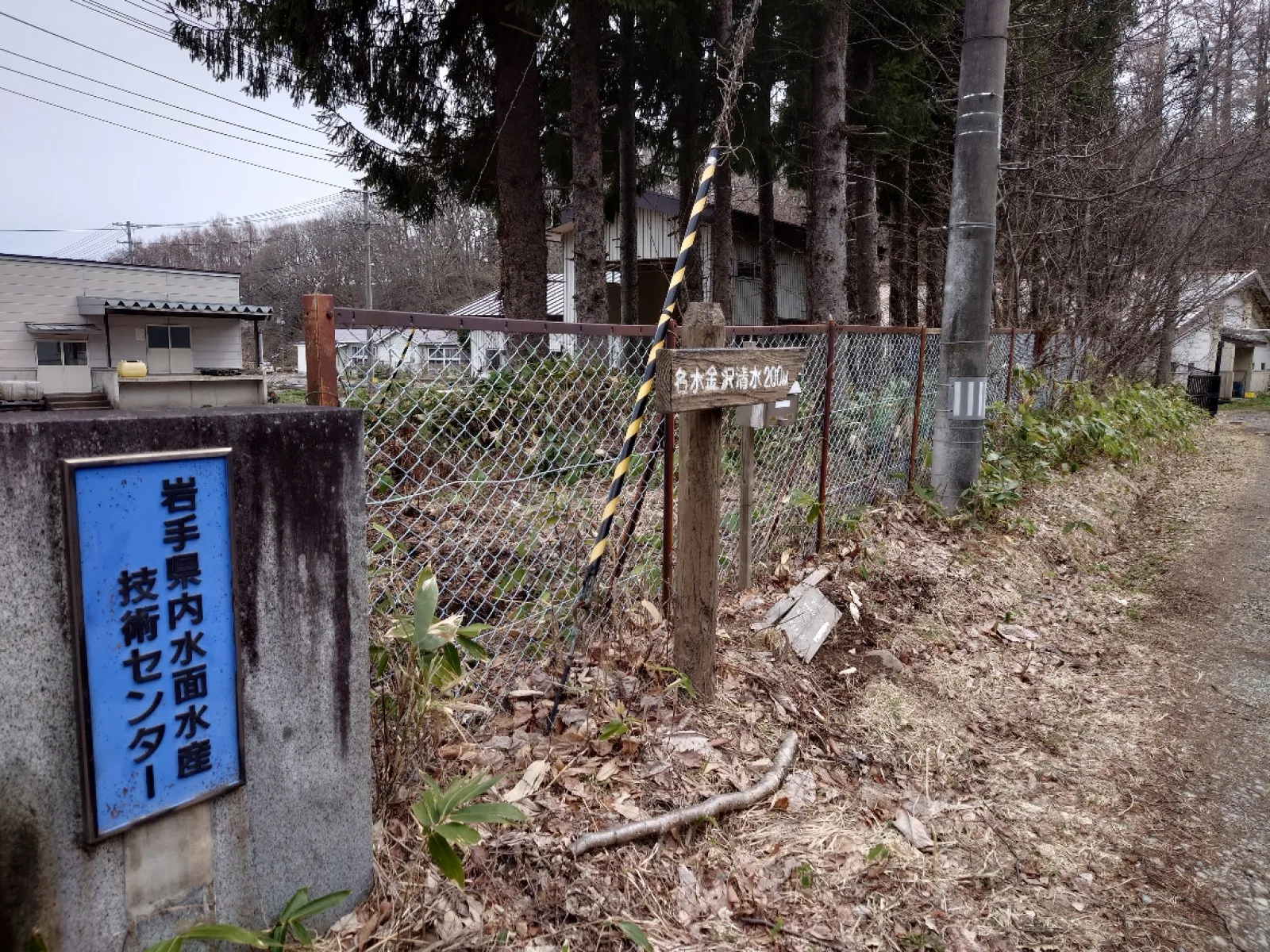 岩手県八幡平市にある日本百名水の一つ「金沢清水」を水源にした漁業研究センターでマスの養殖をしてます。
部外者は立ち入り禁止ですが、脇道から覗けます。