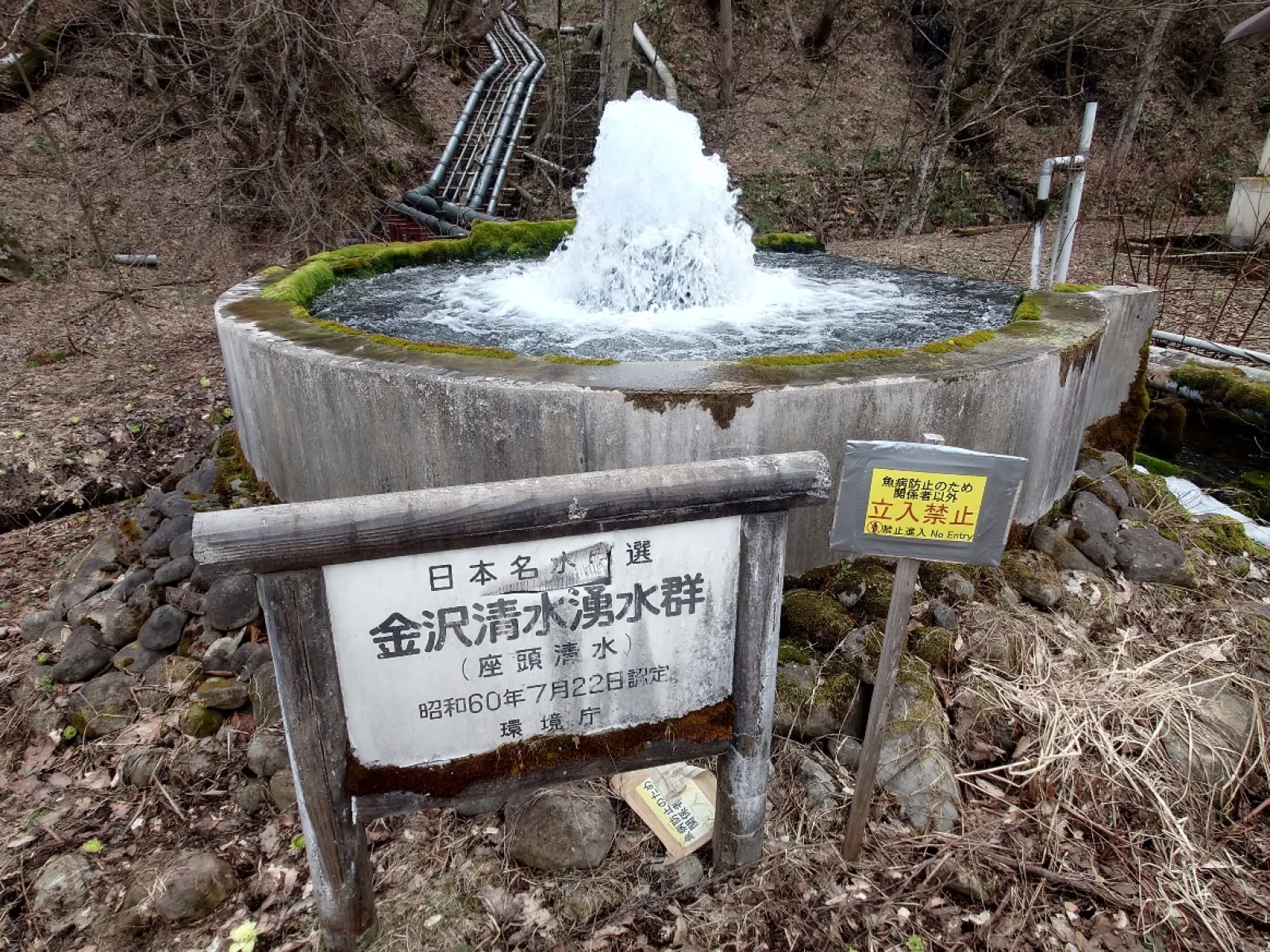 岩手県内水産水面技術センターの敷地の脇にある日本名水百選の一つ「金沢清水」です。
ゴボゴボと吹き出してますが、ここが水源じゃあありません。