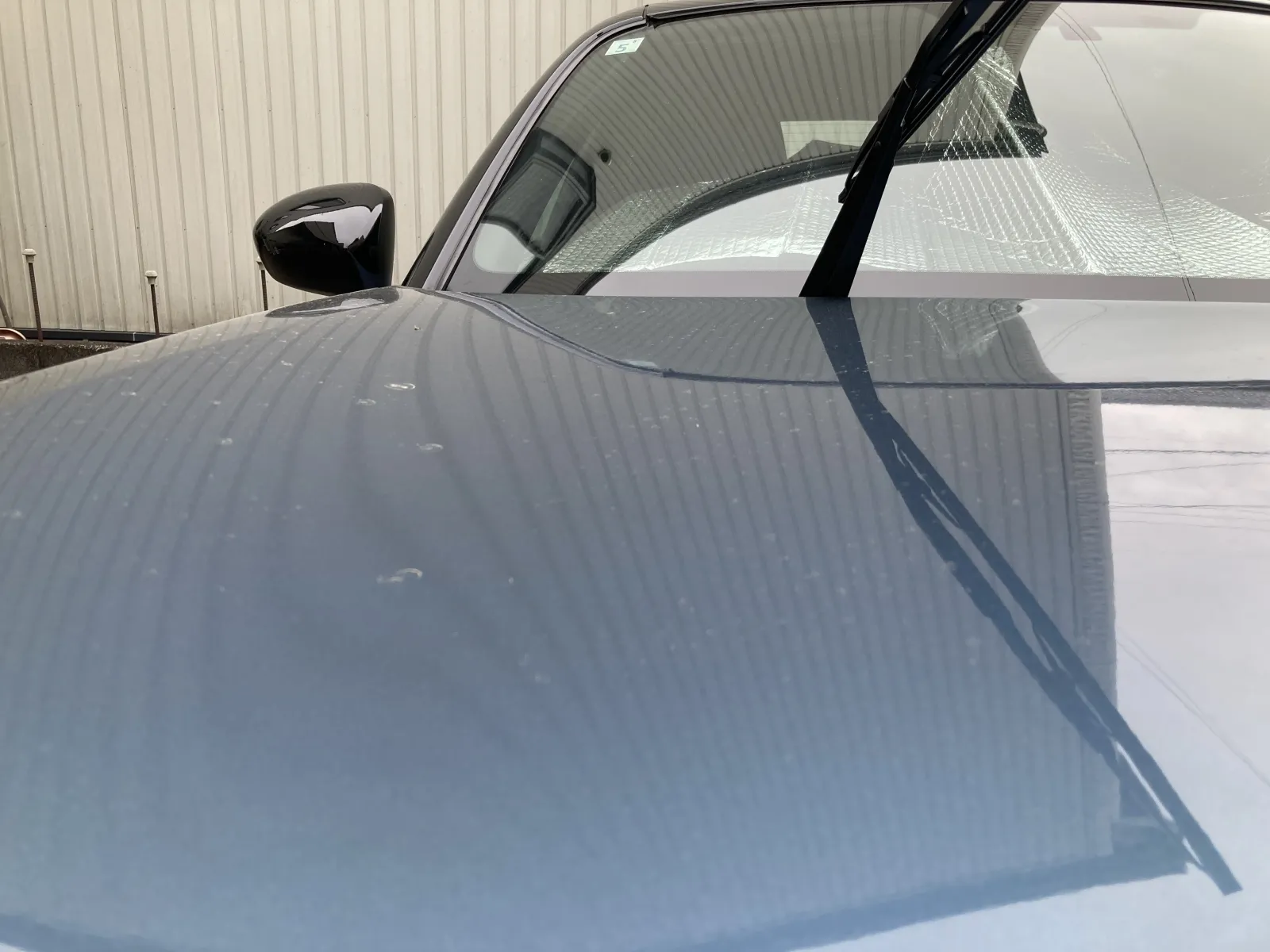 午後から雨☔

NB. NDを洗ってあげたいが・・・。我慢。
明日は雨が上がるようなので、
早朝から楽しく過ごせそう。

ではまた。