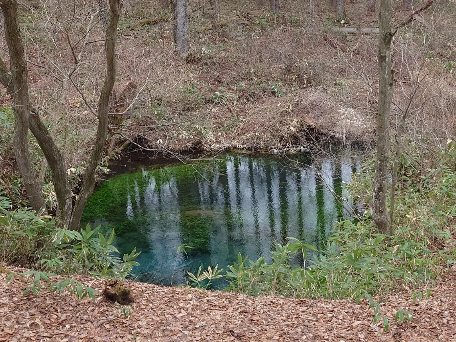 水源地自体はフェンスで覆われていて直接触れる事は出来ませんけど、フェンス外にあり展望台？から水源地を見ることが出来ます。