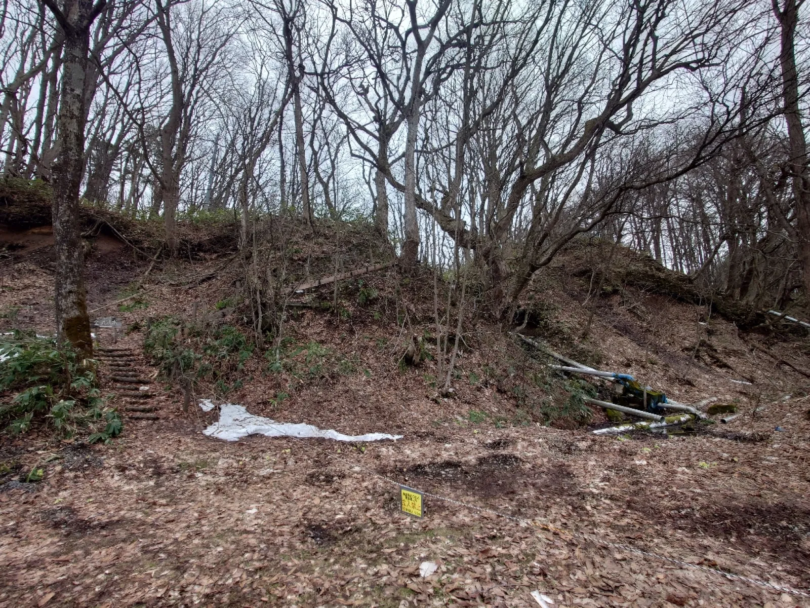 吹き出している場所から少し行った所から裏山の水源地に行くことが出来ます。