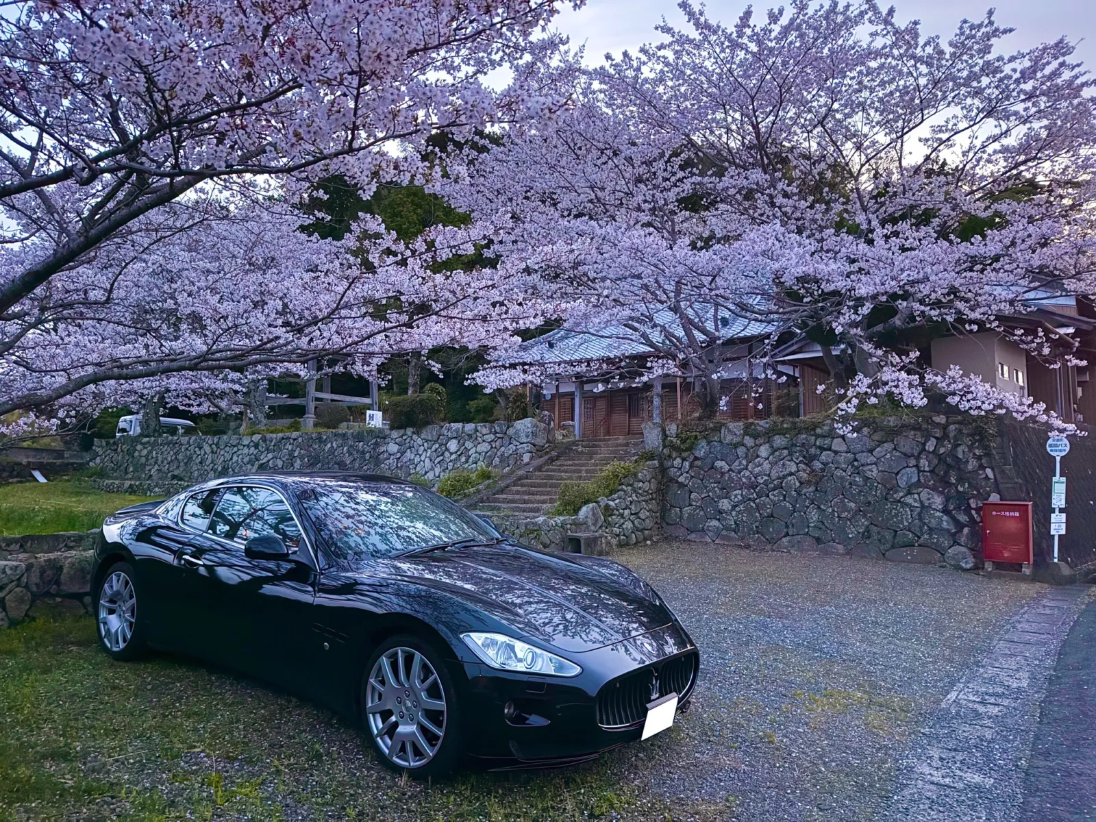 夕方なので、少し暗いのが残念。