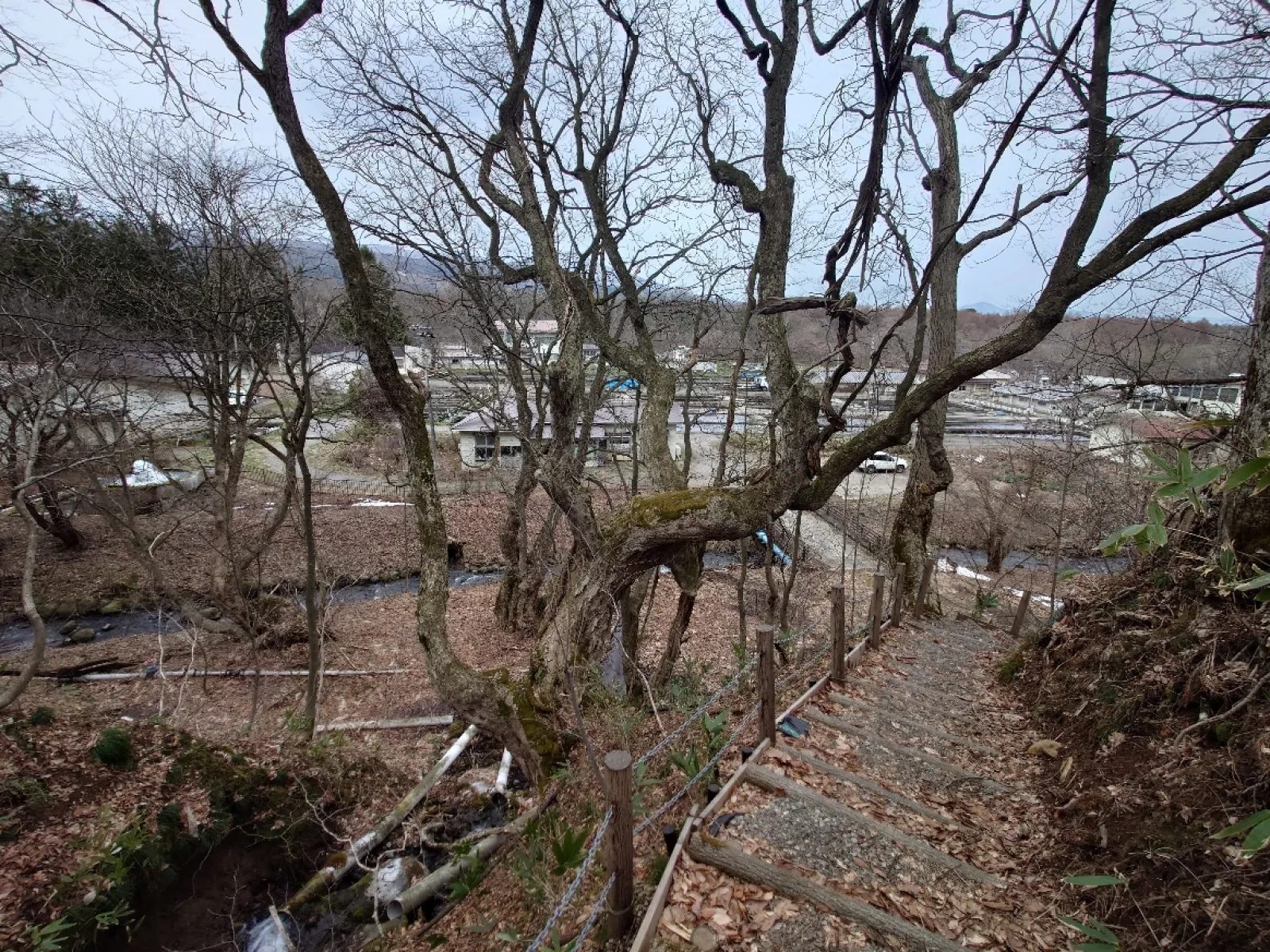 金沢清水のある裏山からセンターを見る。