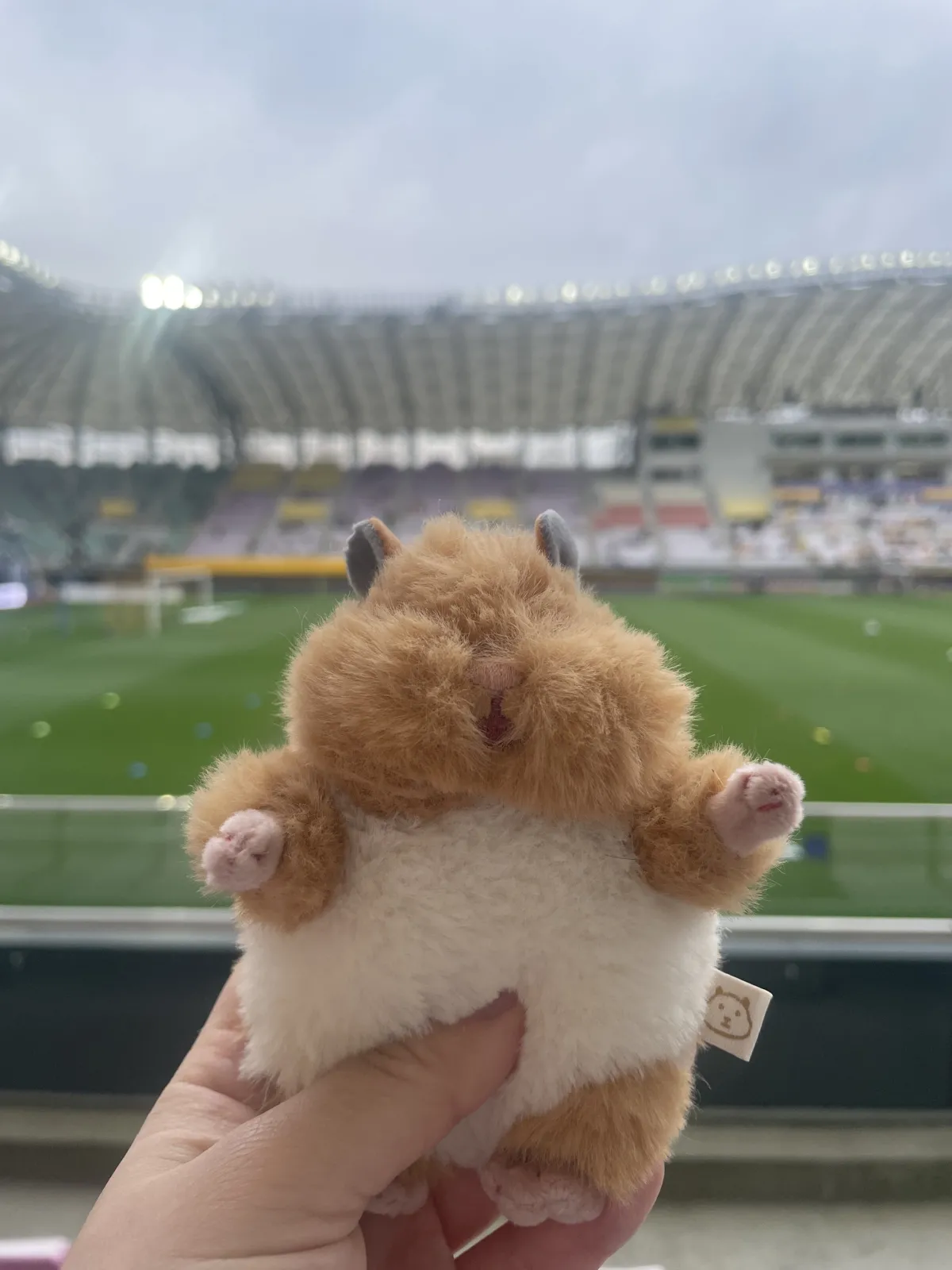 はむにぎりのハムテルです