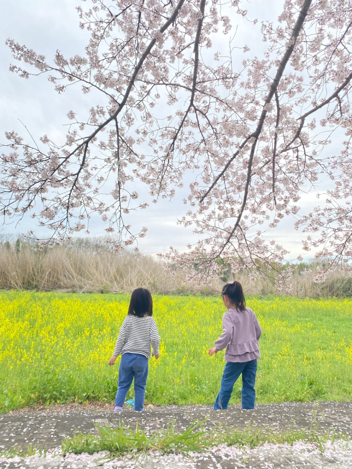 そして楽しみにしていたBBQ！

炭火で焼いた鶏肉とかぼちゃが最高に美味しかったです。

昼間からは暑すぎるくらいの気候で汗かきながら焼き番しました。